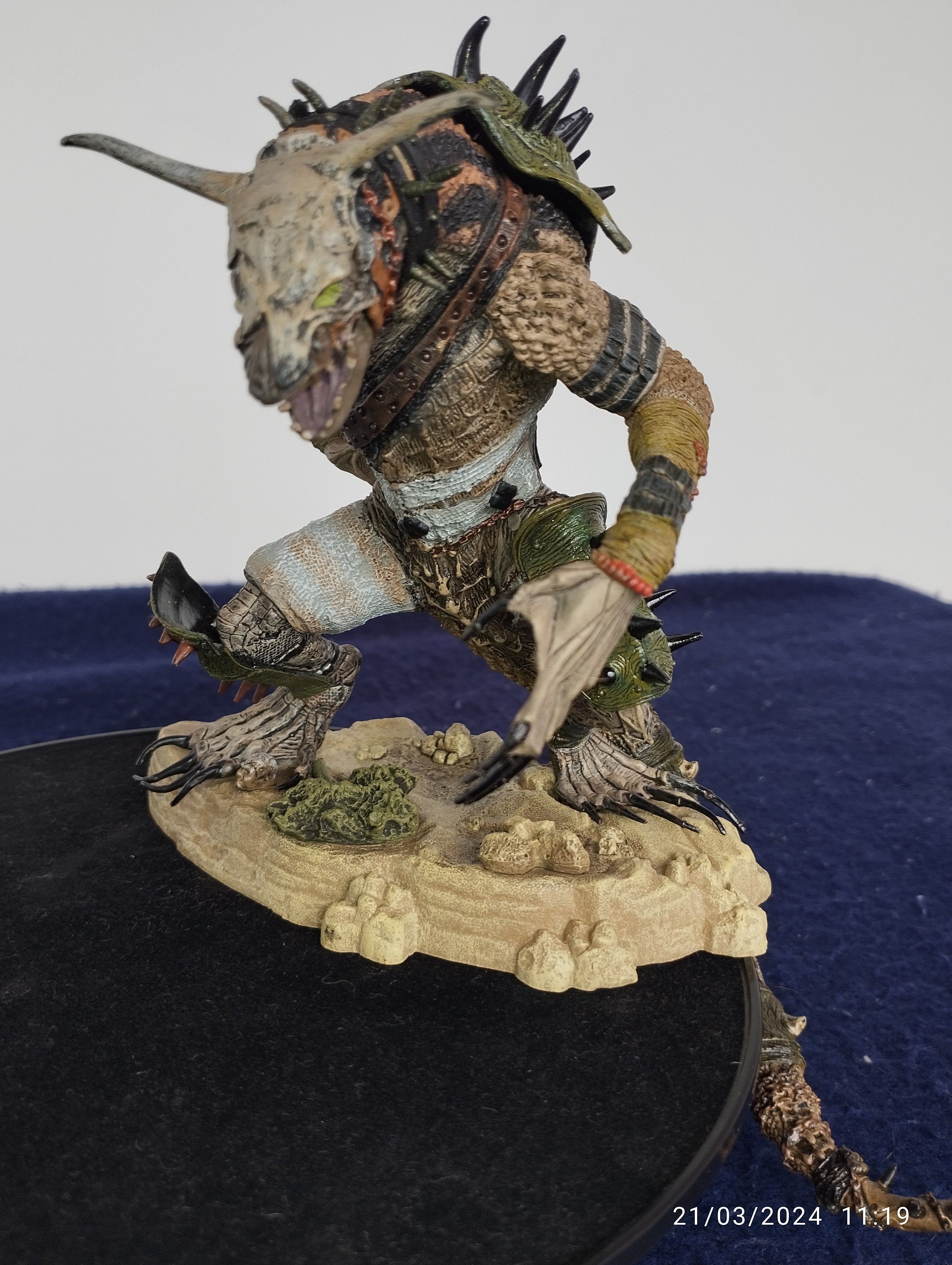 DRAGON D