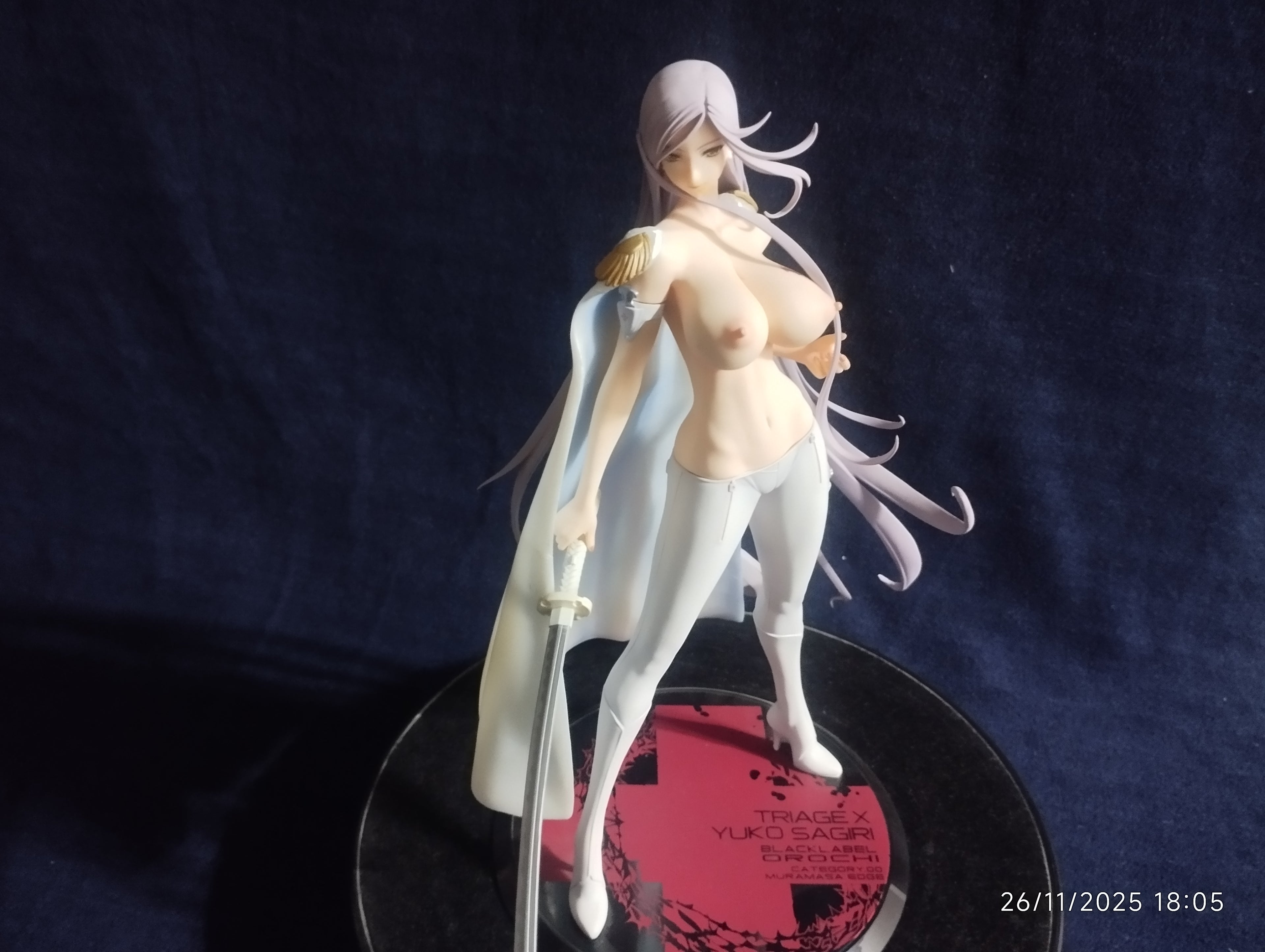 BARBIE DE REPIZA 12