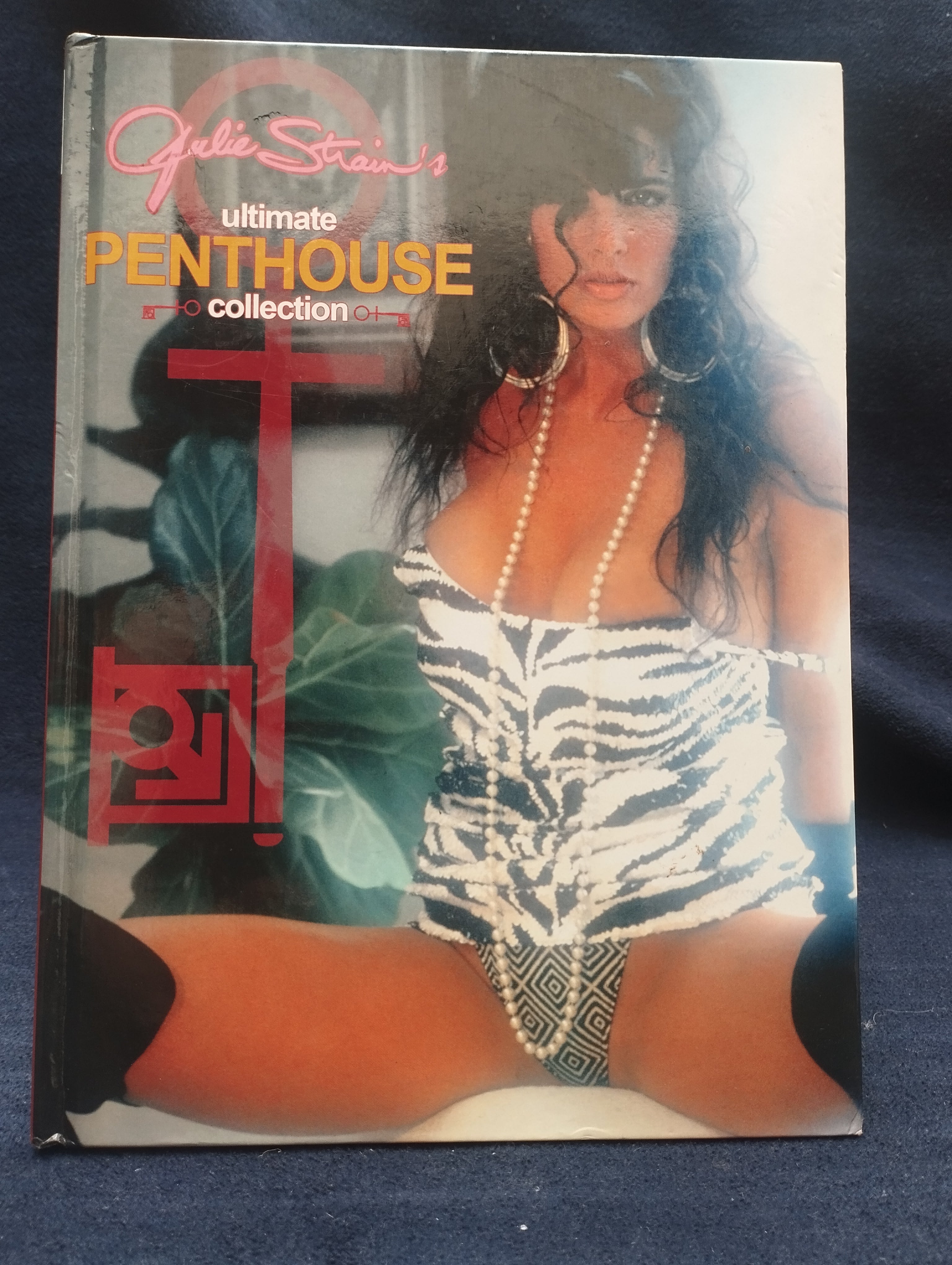 LIBRO EROTICO ILUSTRADO - N ( obra maestra )