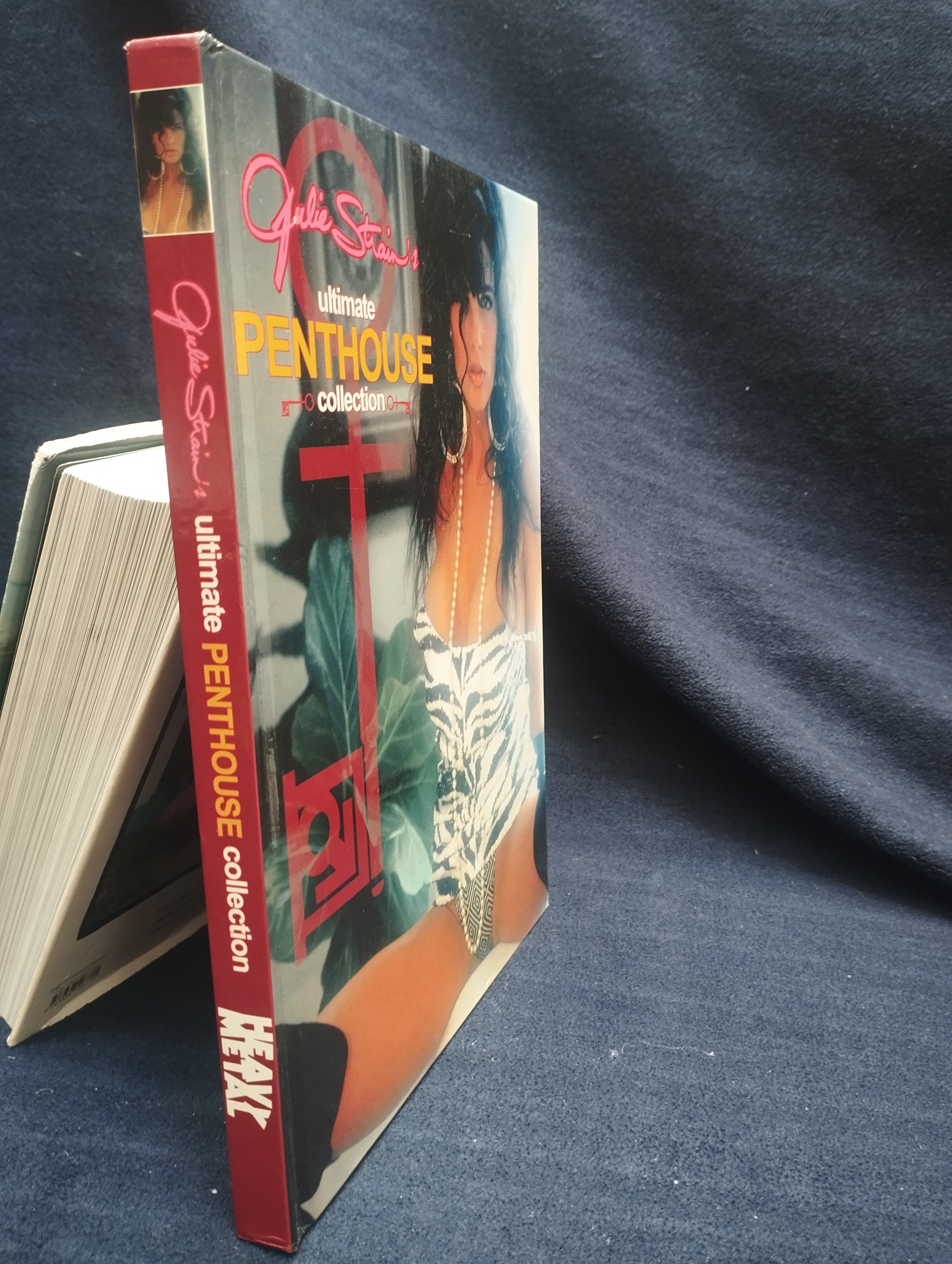 LIBRO EROTICO ILUSTRADO - N ( obra maestra )