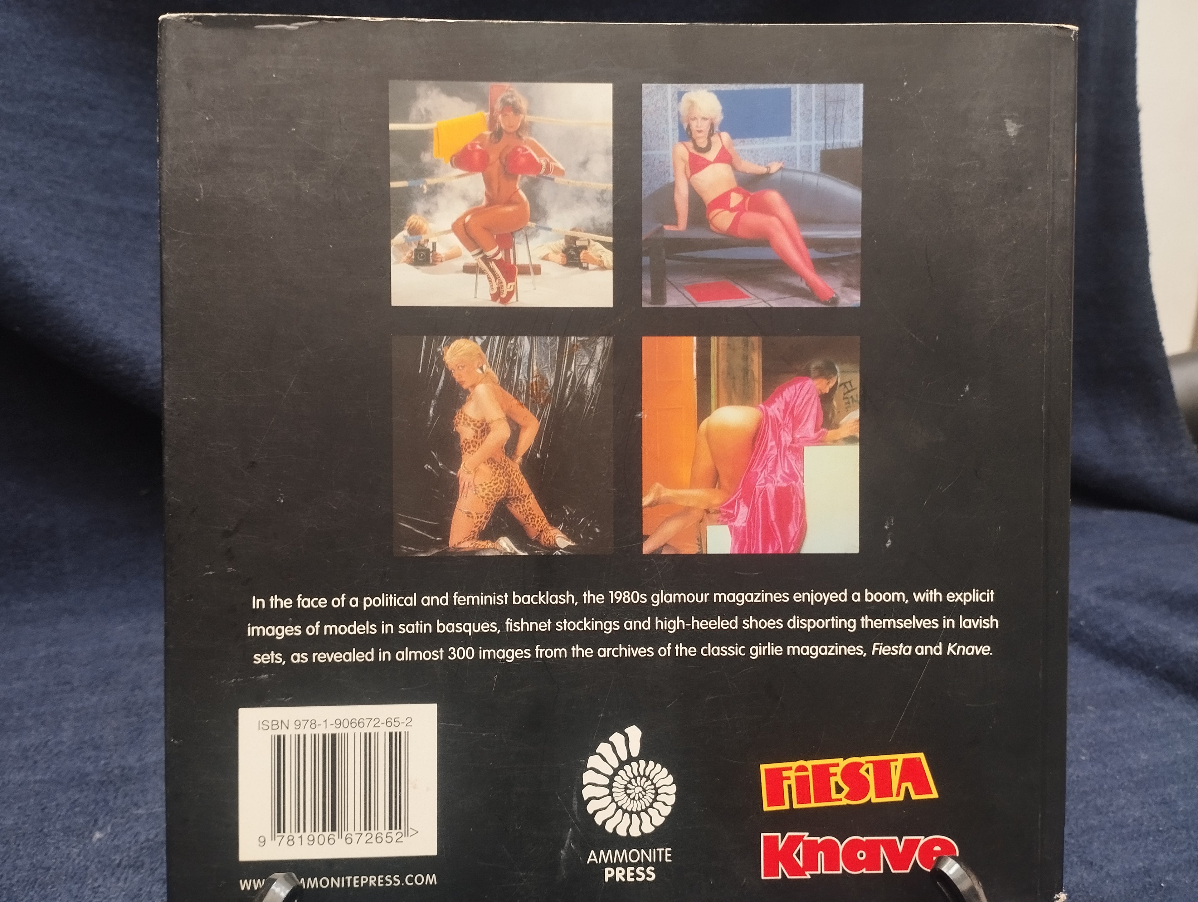 LIBRO EROTICO ILUSTRADO -R  ( obra maestra )