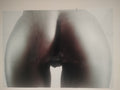 FOTOGRAFIA GIGANTE 1