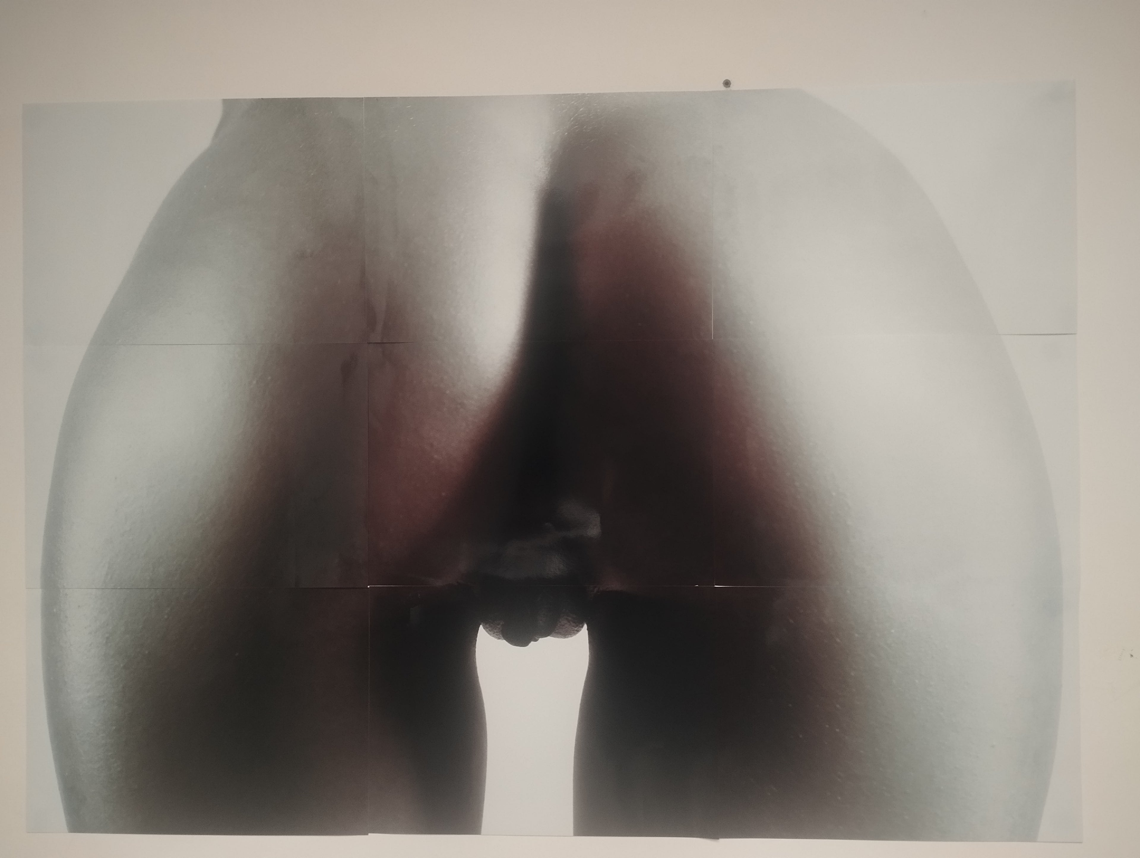 FOTOGRAFIA GIGANTE 1