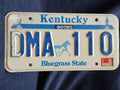 PLACA ORIGINAL AMERICANA -031