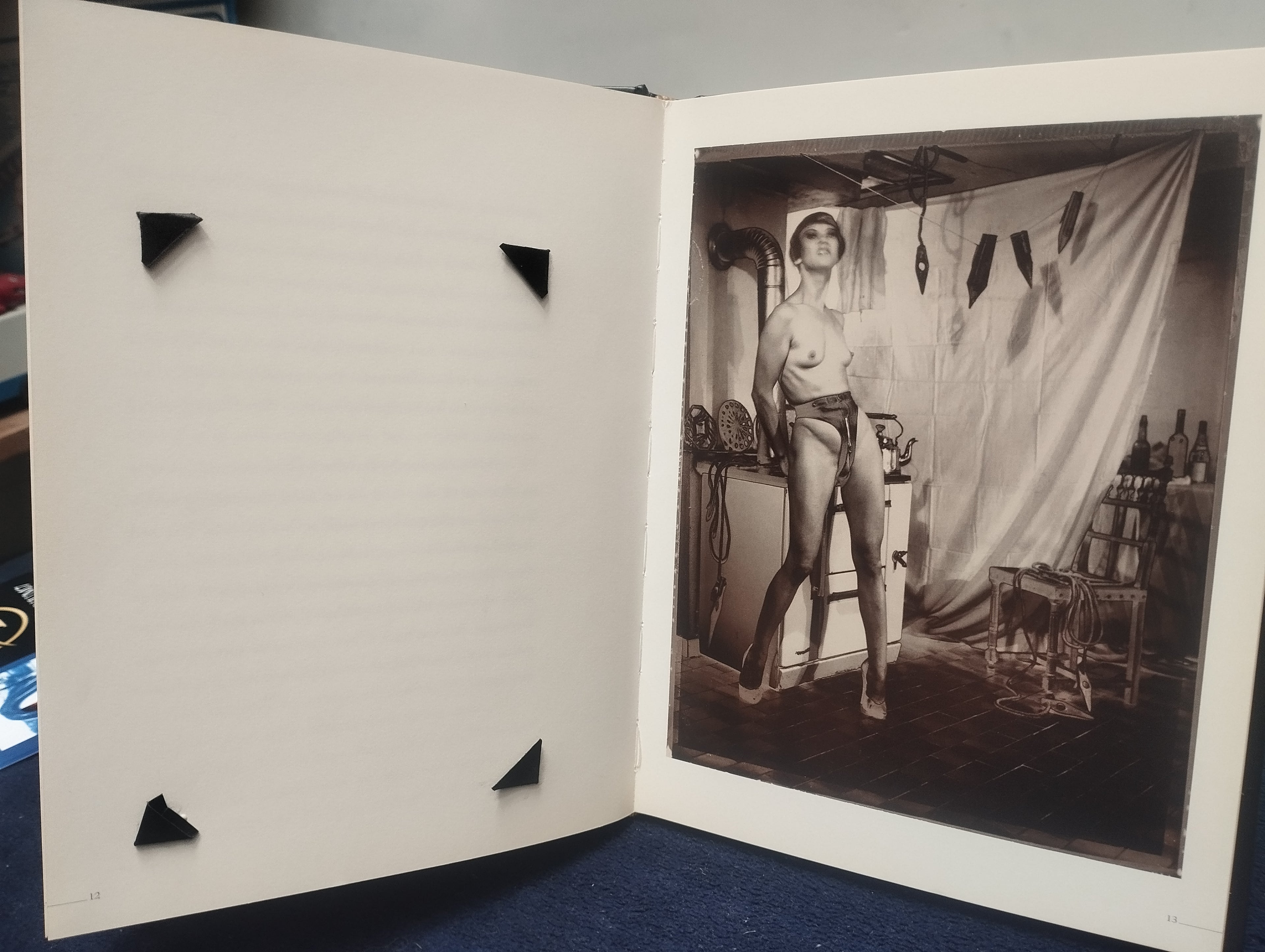 LIBRO EROTICO ILUSTRADO - Q ( obra maestra )