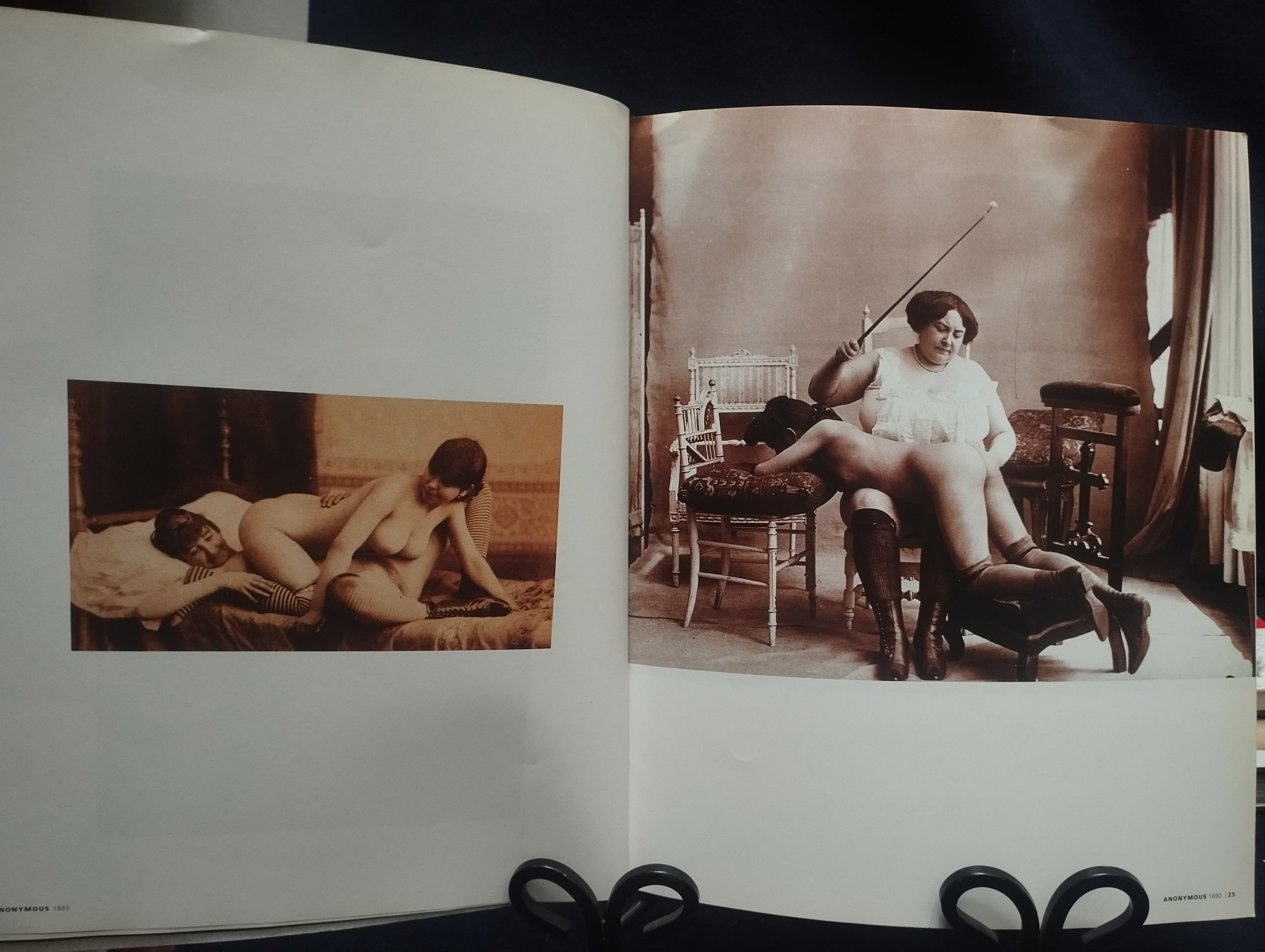 LIBRO EROTICO ILUSTRADO -D  ( obrea maestra )