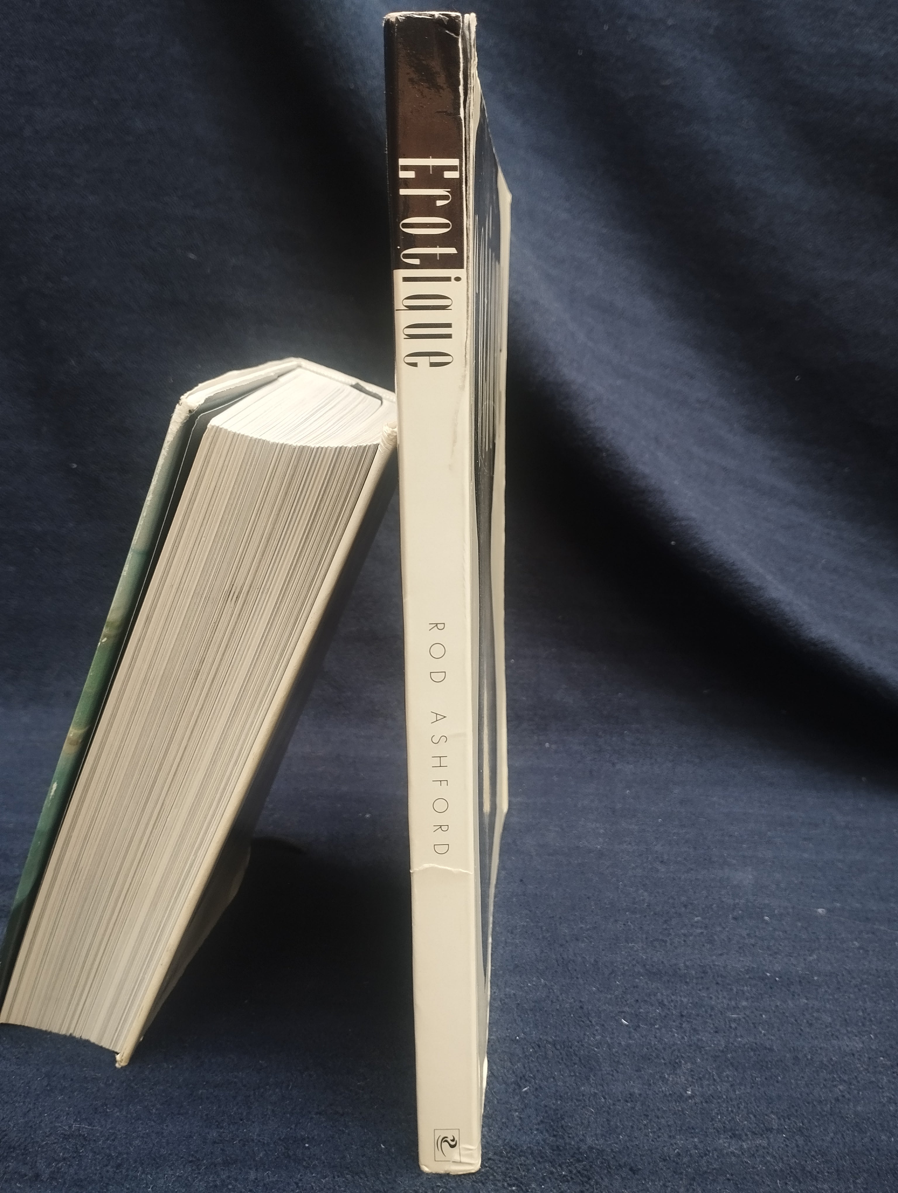 LIBRO EROTICO ILUSTRADO -D  ( obrea maestra )