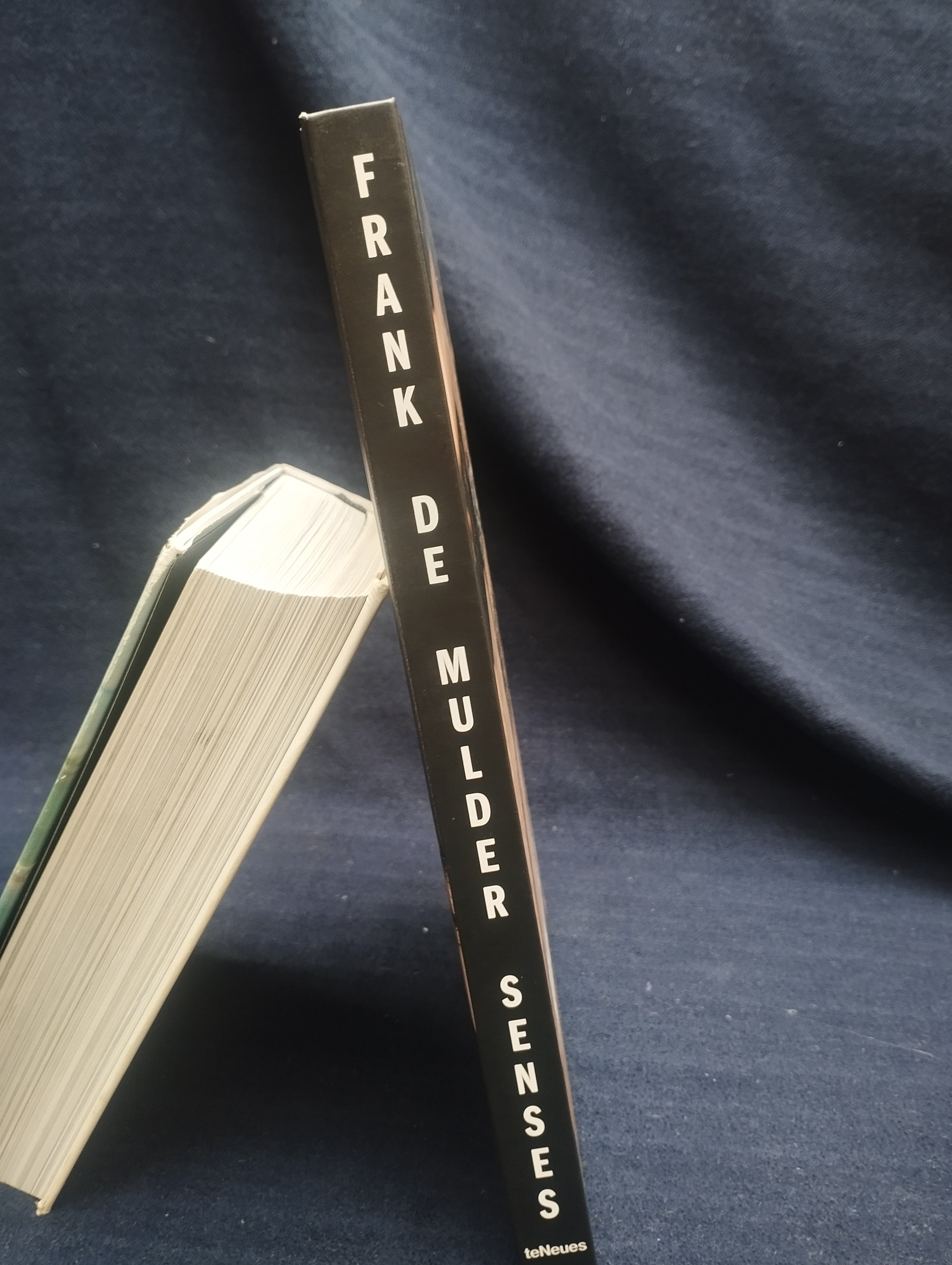 LIBRO EROTICO ILUSTRADO -E ( obrea maestra )